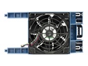 imageHighRes1
