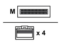 imageHighRes1