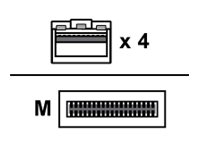 imageHighRes1