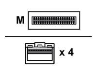 imageHighRes1
