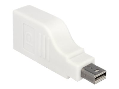 imageHighRes1