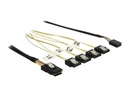 imageHighRes1