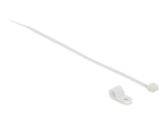 imageHighRes1