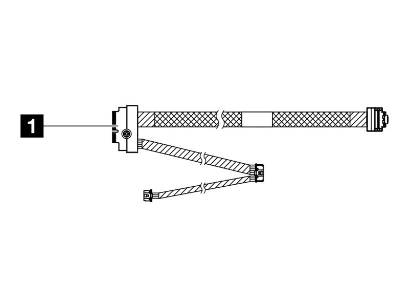 Lenovo NVMe-Kabel - 25/30/63 cm - für M.2 NVMe 2-Schacht RAID