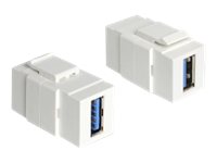 Delock Modularer Einschub (Kopplung) - SuperSpeed