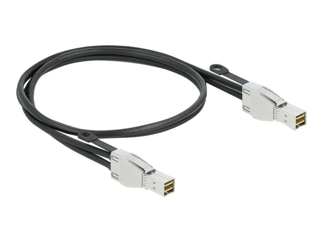 Delock Externes SAS-Kabel - SAS 32Gbit/s - Mini SAS HD (SFF-8674)