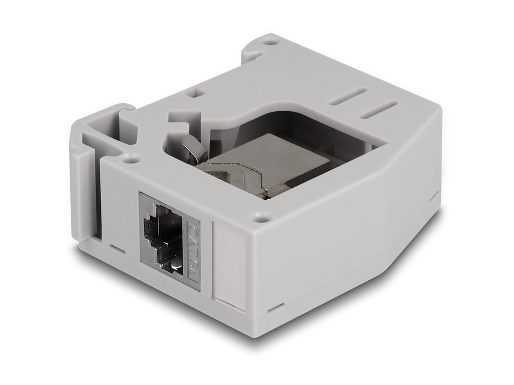 Delock DIN-Schienenmontageadapter - mit Keystone-Modul