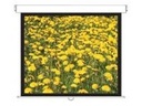 Optoma Panoview Pull Down Manual DS-3120PMG+ - Leinwand - Deckenmontage möglich, geeignet für Wandmontage - 305 cm (120")