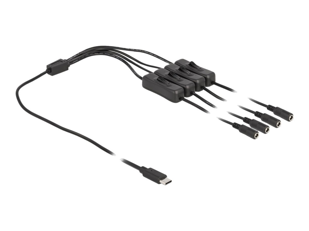 Delock Netz-Splitter - USB-C (M) zu Gleichstromstecker 5,5 x 2,1 mm (W)