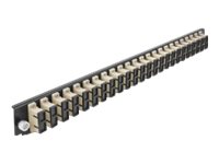 Delock Rack-Montageblech für Glasfaser-Spleißbox - Vorderseite - SC MM X 24 - beige - 1U - 48.3 cm (19")