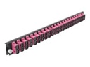 Delock Rack-Montageblech für Glasfaser-Spleißbox - Vorderseite - SC MM X 24 - violett - 1U - 48.3 cm (19")