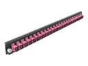 Delock Rack-Montageblech für Glasfaser-Spleißbox - Vorderseite - SC MM X 24 - violett - 1U - 48.3 cm (19")