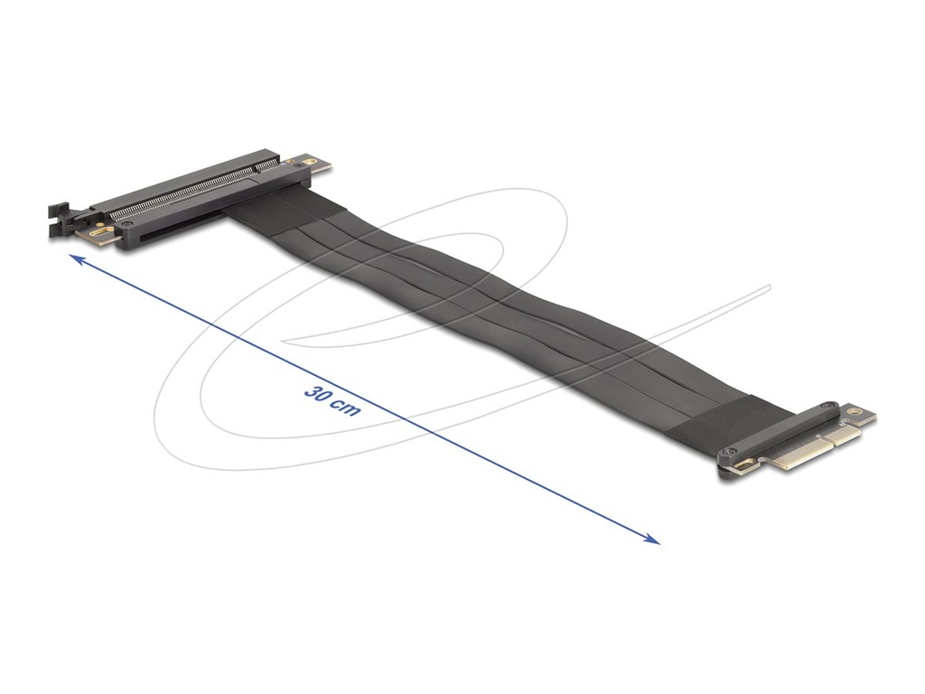 Delock Riser Card