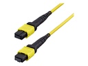 StarTech.com Startech - Patch-Kabel - MTP/MPO-Einzelbildfunktion (W)