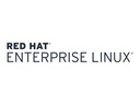 HPE Red Hat Enterprise Linux for Virtual Datacenters - Standardabonnement (1 Jahr)