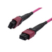 [S216788] Synergy 21 LWL-MTP -Female Patchkabel OM4 LowLoss ELite 12 Faser Typ B crossed - Kabel - Netzwerk