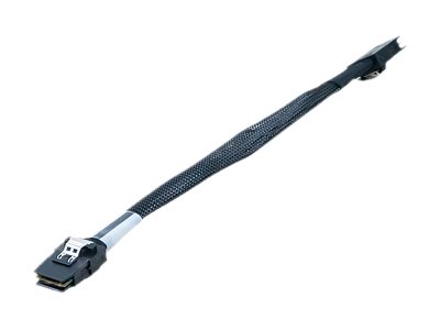 [CABLE MINISAS_INT_2] Synology Internes SAS-Kabel - 27.8 cm - eingerastet