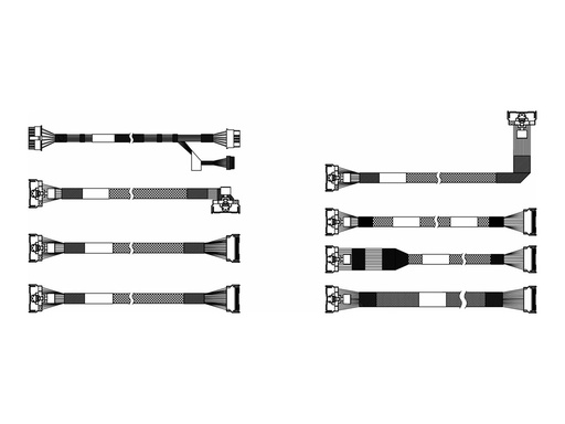 [4X97A87136] Lenovo Speicherkabelkit - für 10 x 2,5" AnyBay