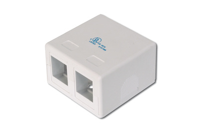 [AT-AG  302A-WH] DIGITUS Konsolidierungs-Punkt Gehäuse für 2x Keystone Module