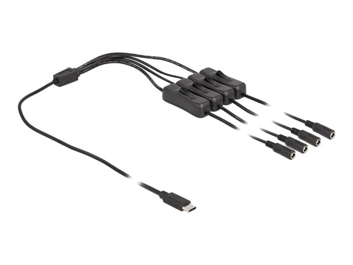 [86802] Delock Netz-Splitter - USB-C (M) zu Gleichstromstecker 5,5 x 2,1 mm (W)