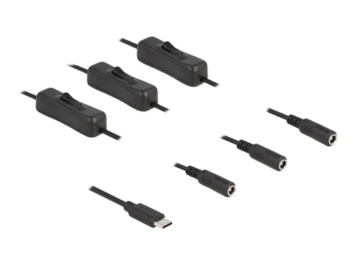 [86801] Delock Netz-Splitter - USB-C (M) zu Gleichstromstecker 5,5 x 2,1 mm (W)