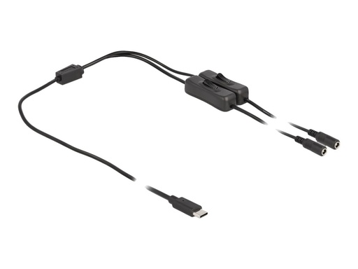 [86800] Delock Netz-Splitter - USB-C (M) zu Gleichstromstecker 5,5 x 2,1 mm (W)