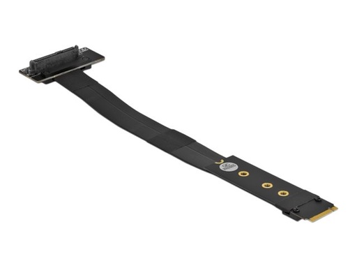 [64135] Delock Schnittstellenadapter - U.2 NVMe - M.2
