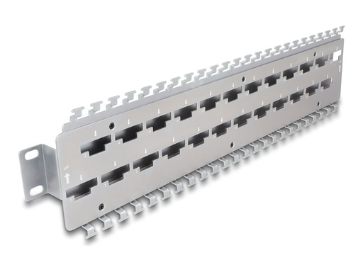 [67070] Delock Verlegetafel für Rack-Kabelmanagement - für Netzwerkkabelverbinder mit LSA-Anschluss, Metall - geeignet für Wandmontage - 1U - 48.3 cm (19")