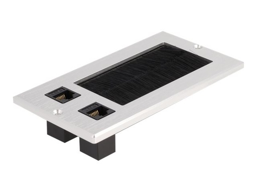 [66896] Delock Keystone-Steckdose - RJ 45 - 2 Netzwerksteckdosen