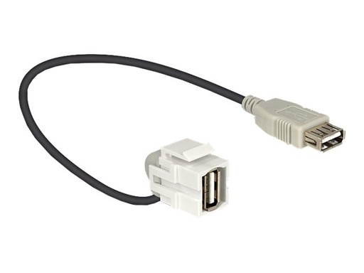 [86327] Delock Modulare Eingabe - USB Type A