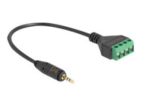 [66256] Delock Audio-Adapter - 2,5 mm 4-poliger Stereoanschluss