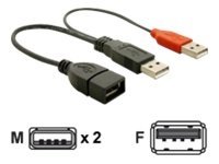 [65306] Delock USB-Kabel - USB Typ A, 4-polig, 4-poliger USB-Anschluss Typ A (nur Strom) (M) - USB Typ A, 4-polig (W) - 23 cm ( USB / Hi-Speed USB )