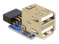 [41825] Delock USB-Adapter (W) zu USB (W)