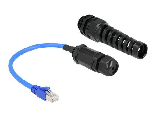 [66809] Delock Netzwerkadapter - RJ-45 (M) zu RJ-45 (W)
